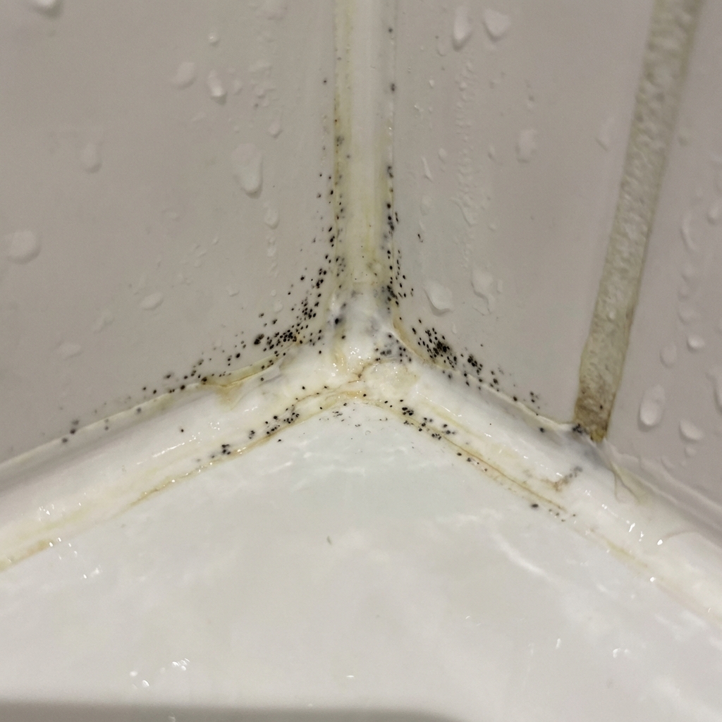 오염된 실리콘 제거 및 깨끗한 줄눈 시공 - 한번에 해결